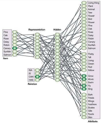 network_architecture