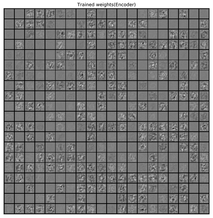 Why arent the shared weights exactly the same? - PyTorch Forums