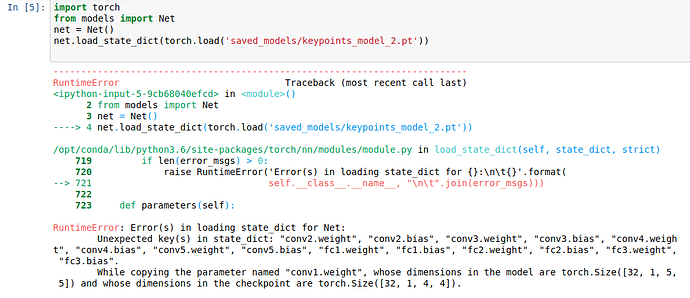 pytorch_load_error