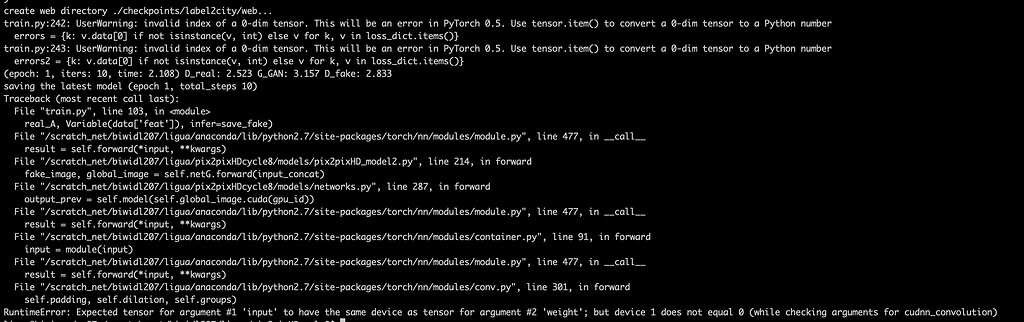 Bug emerge after I have saved the model - vision - PyTorch Forums