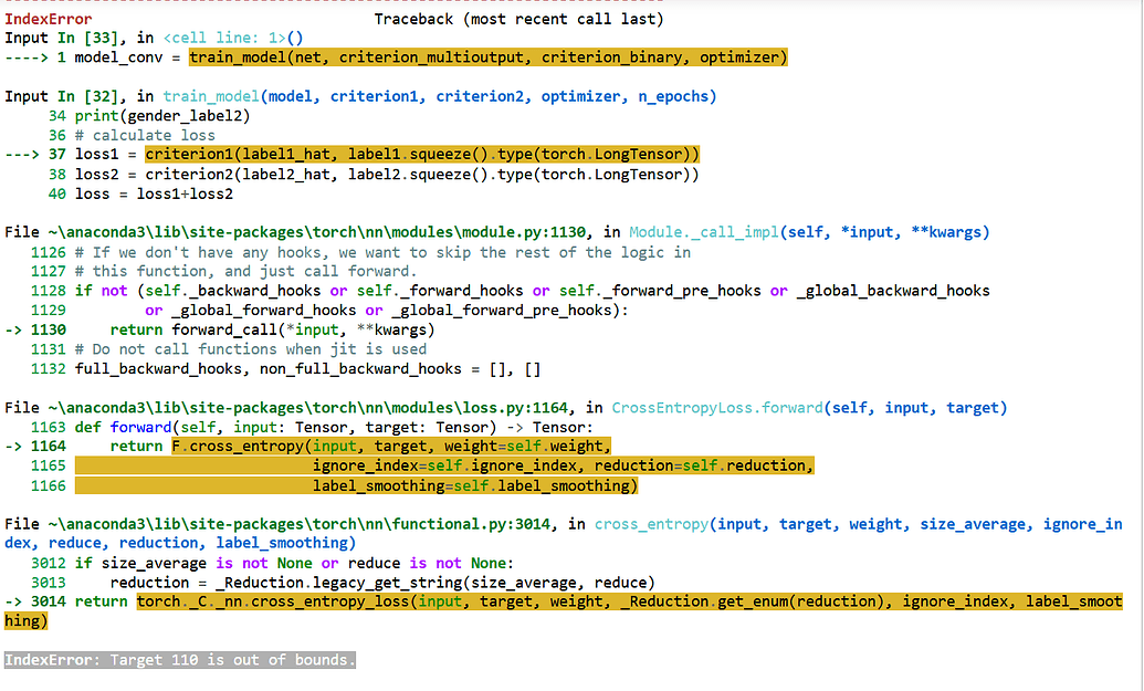 IndexError: Target 103 is out of bounds - vision - PyTorch Forums