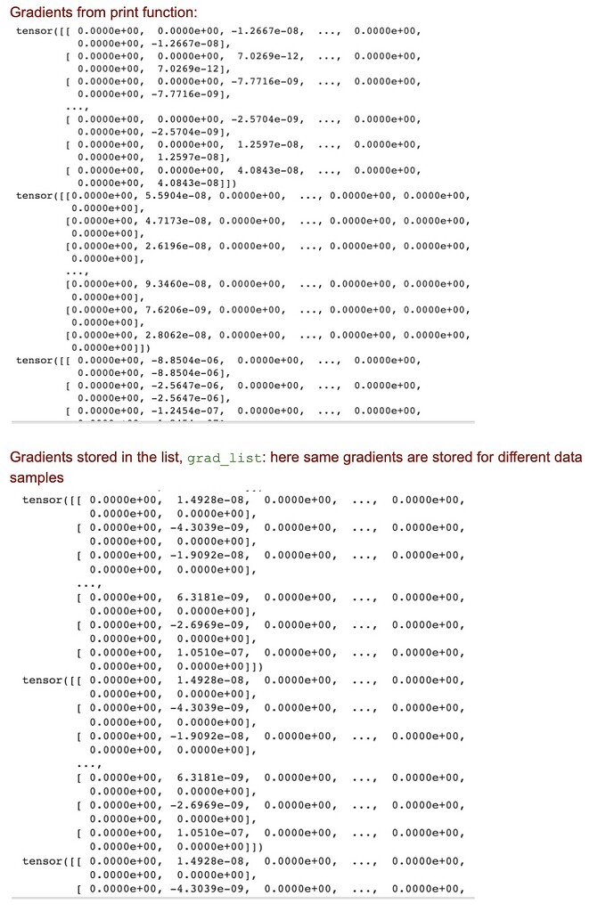 Model gradients printed correctly but stored differently - autograd ...