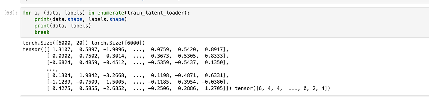 Dataset location (RuntimeError: Caught RuntimeError in DataLoader ...