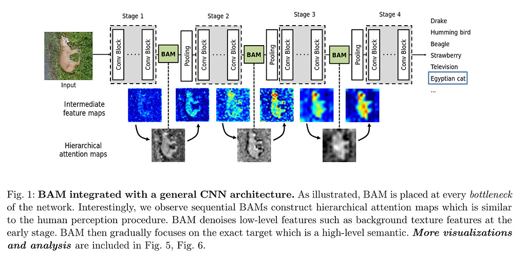Visualizing attention when using transfer learning method for images ...