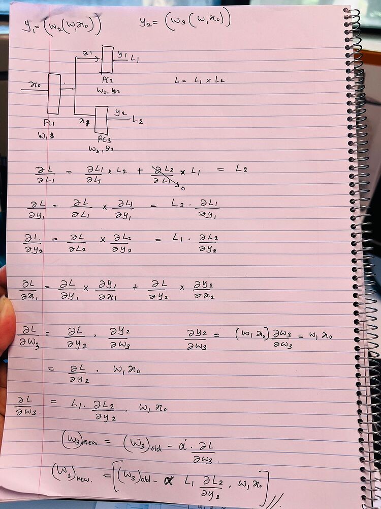 loss-function-backpropagation-autograd-pytorch-forums