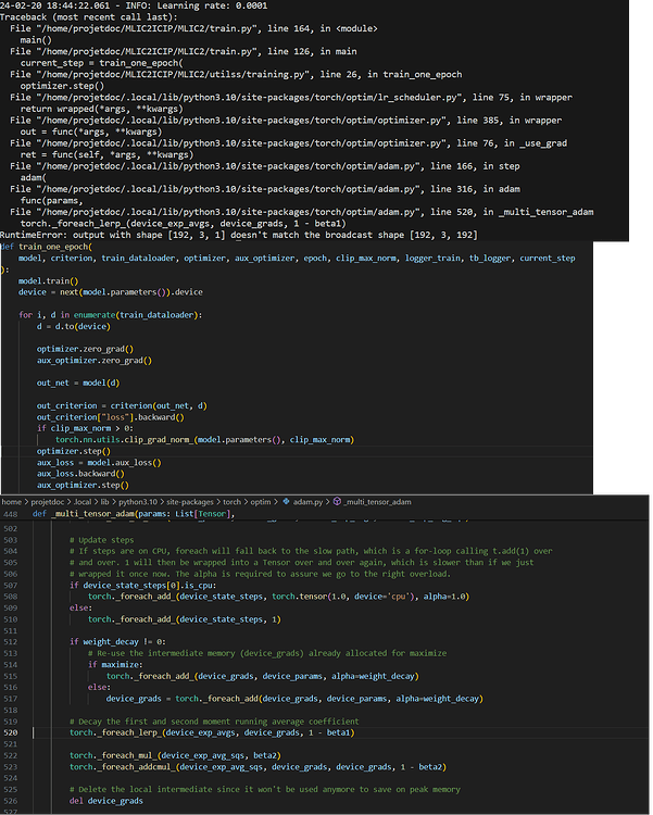 Optimization error Adam.step() - data - PyTorch Forums