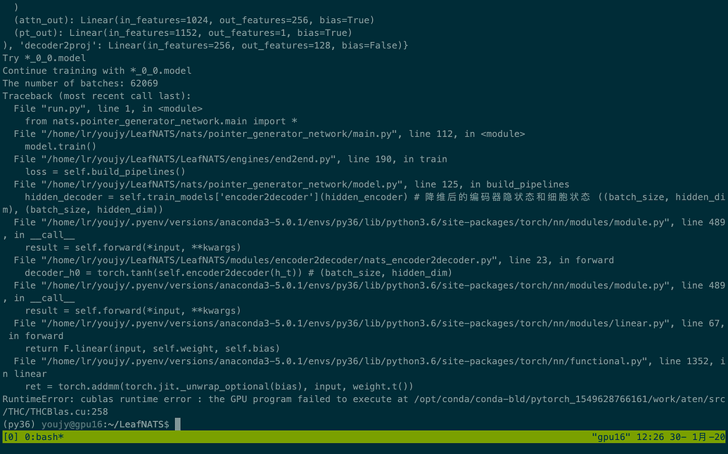 RuntimeError: cublas runtime error : the GPU program failed to execute ...