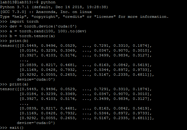 Pytorch cuda