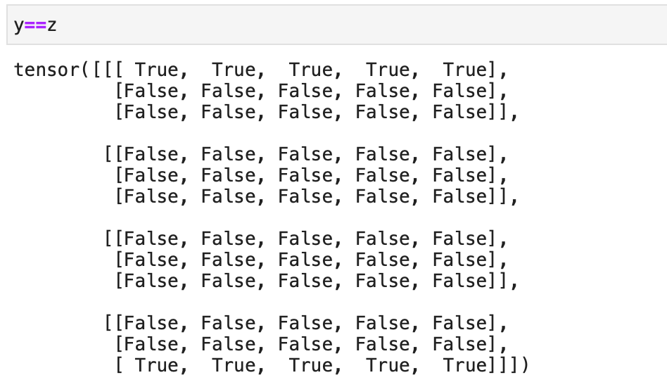 permute pytorch