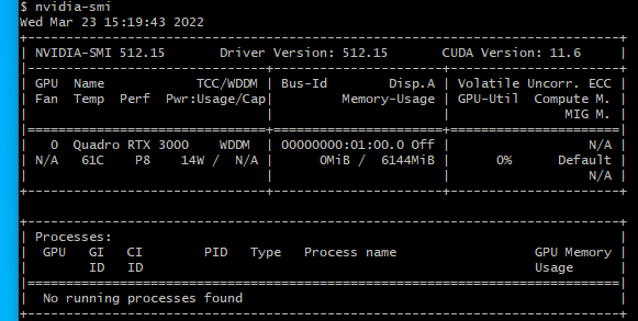 Pytorch 2025 gpu id