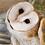 CallMeMisterOwl