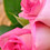 Himajyothi_Rajamahen
