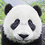 jindongwang