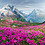 Naina_K