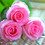 Roqyah_bdeen