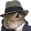 TheQuickBrownFox